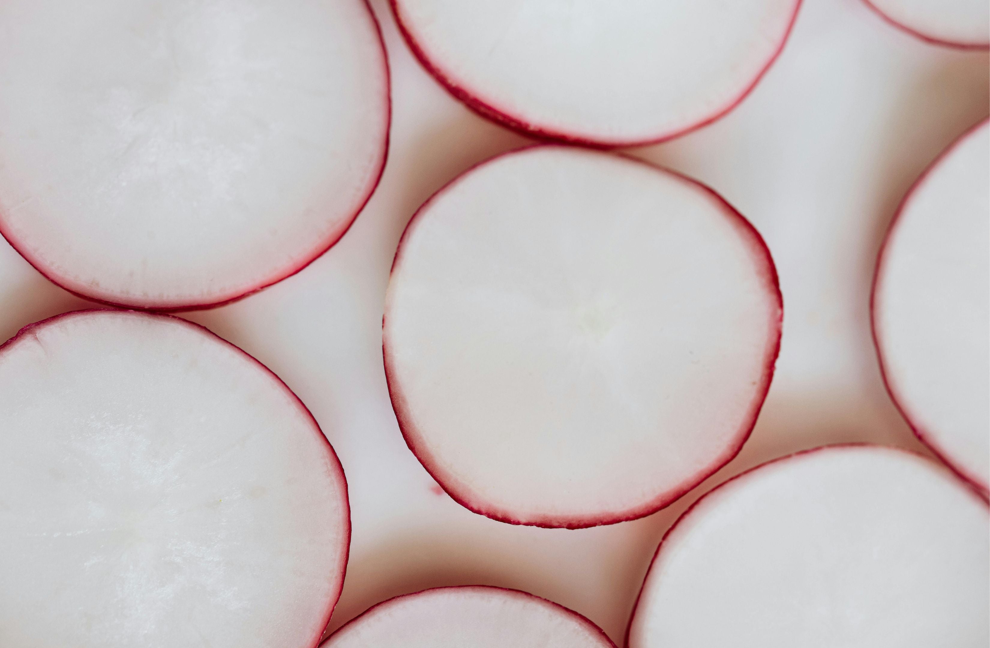 Radish